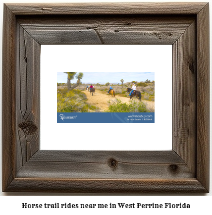 horse trail rides near me in West Perrine, Florida